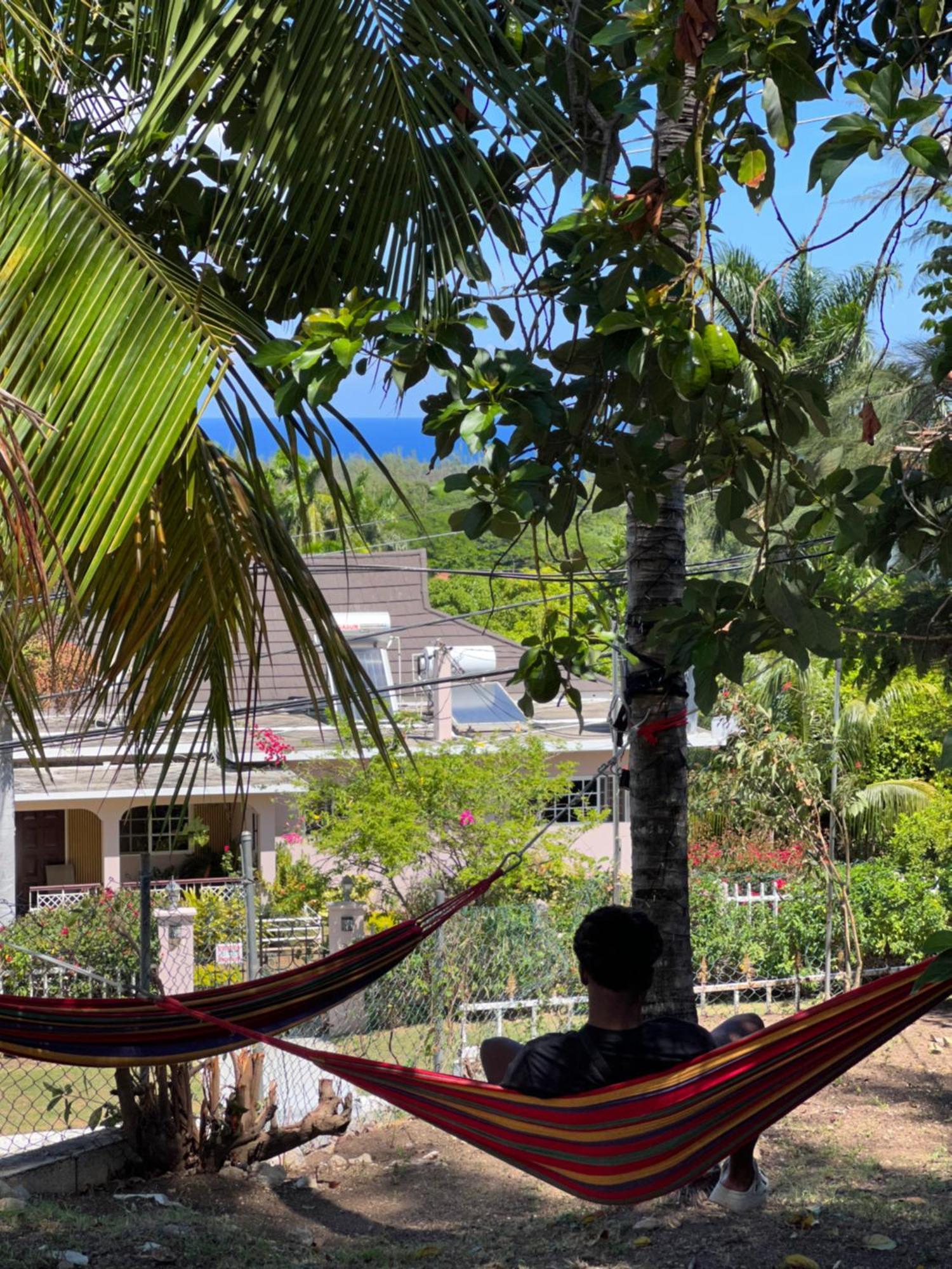 Peaceful Palms Montego Bay Hotel ภายนอก รูปภาพ